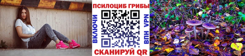 Купить  Губаха  Галлюциногенные грибы мухоморы 