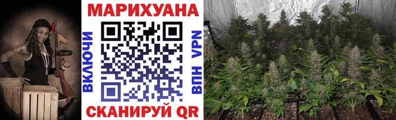 Купить где Губаха Бошки марихуана планчик